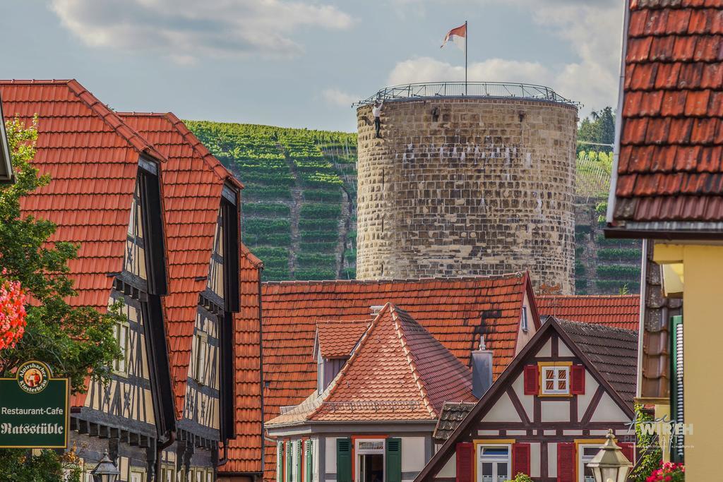 Apartment Am Schlosshof Besigheim Exteriör bild
