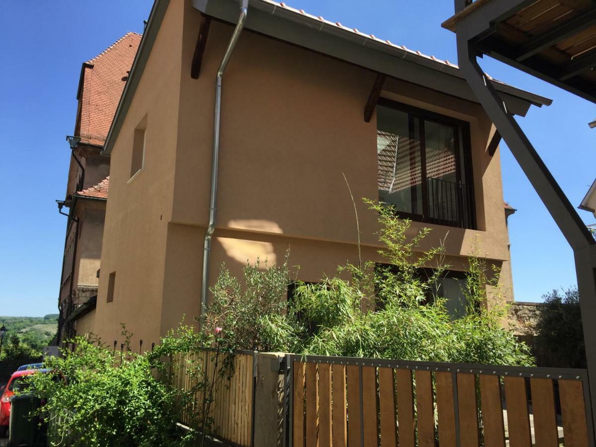 Apartment Am Schlosshof Besigheim Exteriör bild